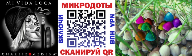 Купить  Белогорск  Псилоцибиновые грибы мицелий 